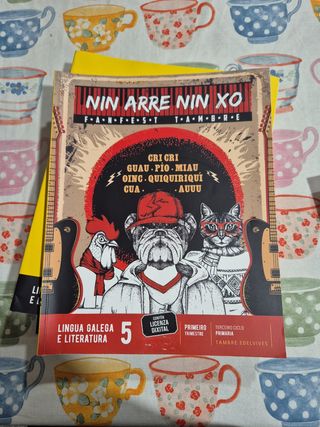 Libros de texto de 5 de Primaria. 