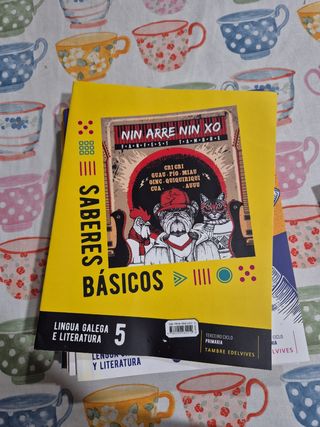 Libros de texto de 5 de Primaria. 