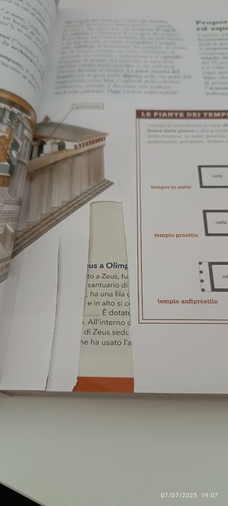 Libro scolastico segreta bellezza
