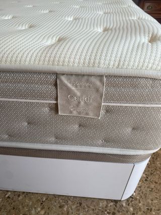 Cama canapé 150x190 cm - Nueva