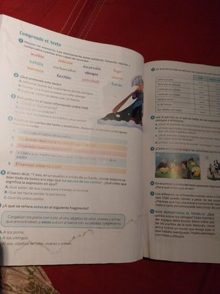 Lengua castellana y Literatura. 5 Primaria. Rev...