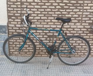 Bicicleta montaña vintage