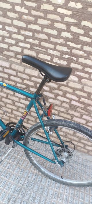 Bicicleta montaña vintage