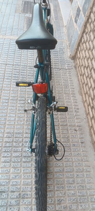 Bicicleta montaña vintage