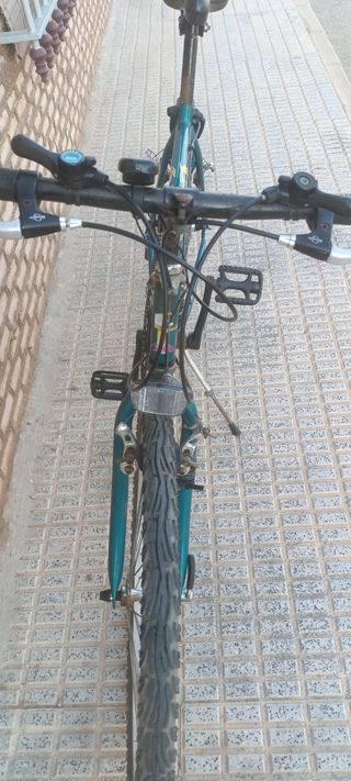 Bicicleta montaña vintage