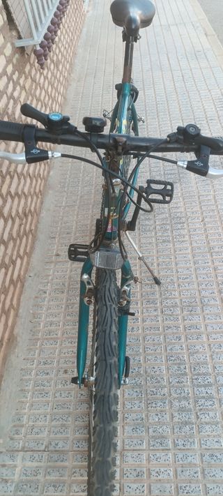 Bicicleta montaña vintage