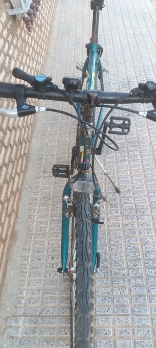 Bicicleta montaña vintage