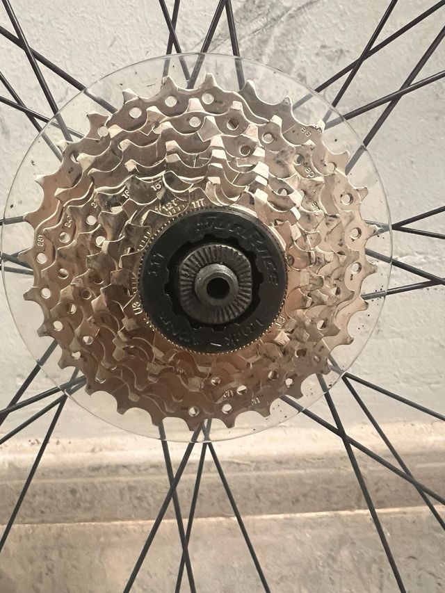 Ruedas Carretera Bontrager AT-650