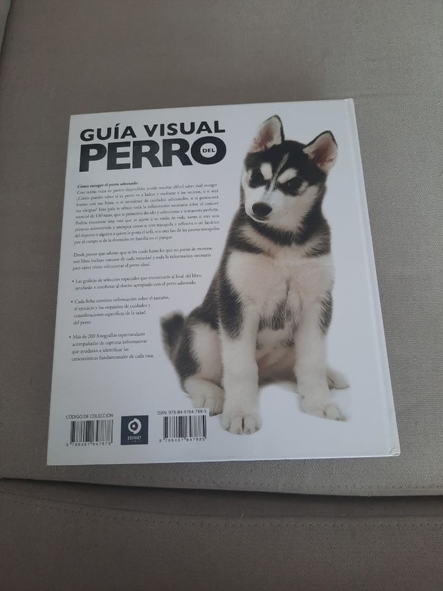 Guía visual del perro: Cómo escoger el perro ad...