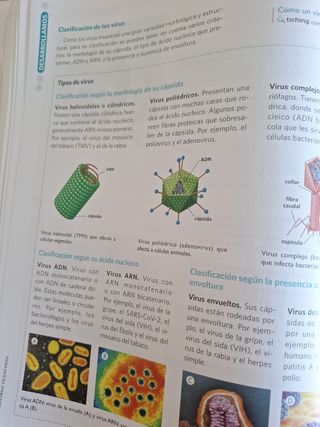 BIOLOGIA GEOLOGIA Y CIENCIAS AMBIENTALES 1 (CER)