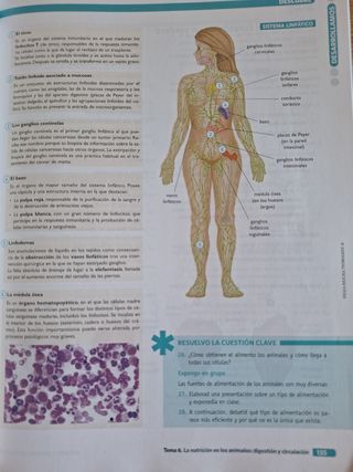 BIOLOGIA GEOLOGIA Y CIENCIAS AMBIENTALES 1 (CER)