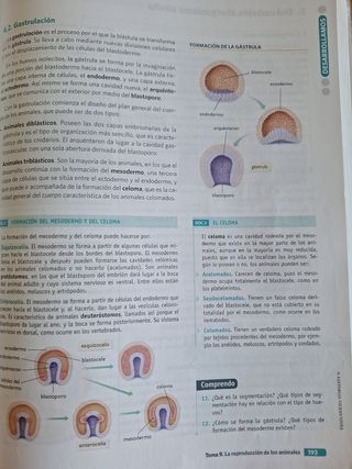 BIOLOGIA GEOLOGIA Y CIENCIAS AMBIENTALES 1 (CER)