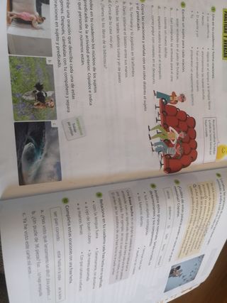 Proyecto: FanFest. Lengua castellana y Literatu...