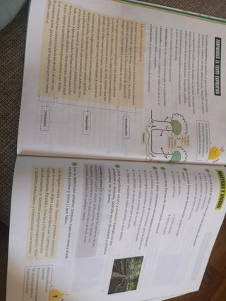 Proyecto: FanFest. Lengua castellana y Literatu...
