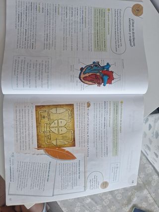 Ciencias de la Naturaleza 5°EPO