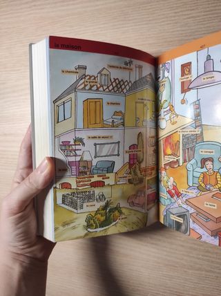 Diccionario didáctico DICO Español - Francés