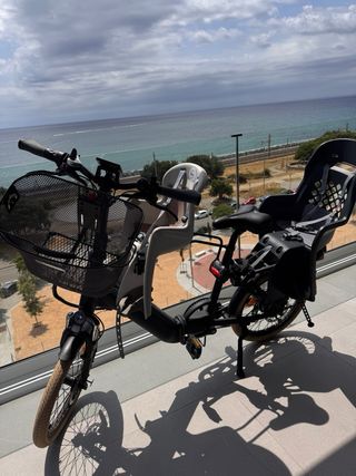 Bicicleta eléctrica plegable 9tranport