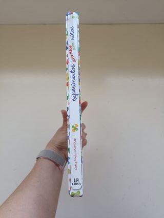 Experimentos Divertidos para Niños (Spanish Edi...