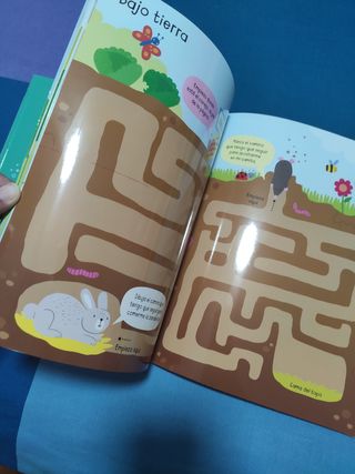 Libros pizarra Usborne