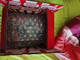 Reino de Cenizas (EDICIÓN ESPECIAL LIMITADA)