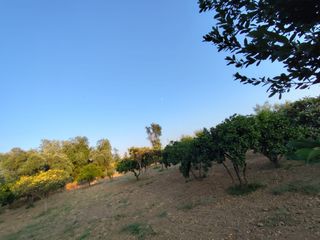 Casa-chalet de campo