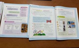 Libros 6 primaria Santillana