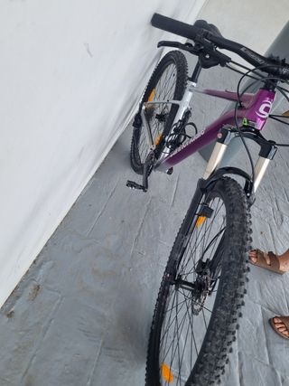 Bicicleta MTB Cannondale Trail T-M Sin estrenar