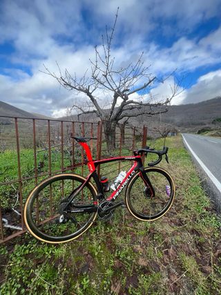 Bicicleta Pinarello Dogma F12