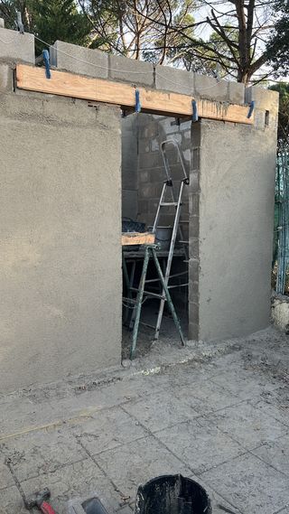 Paleta autonomo