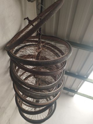 Llantas bici antiguas -  14 unidades