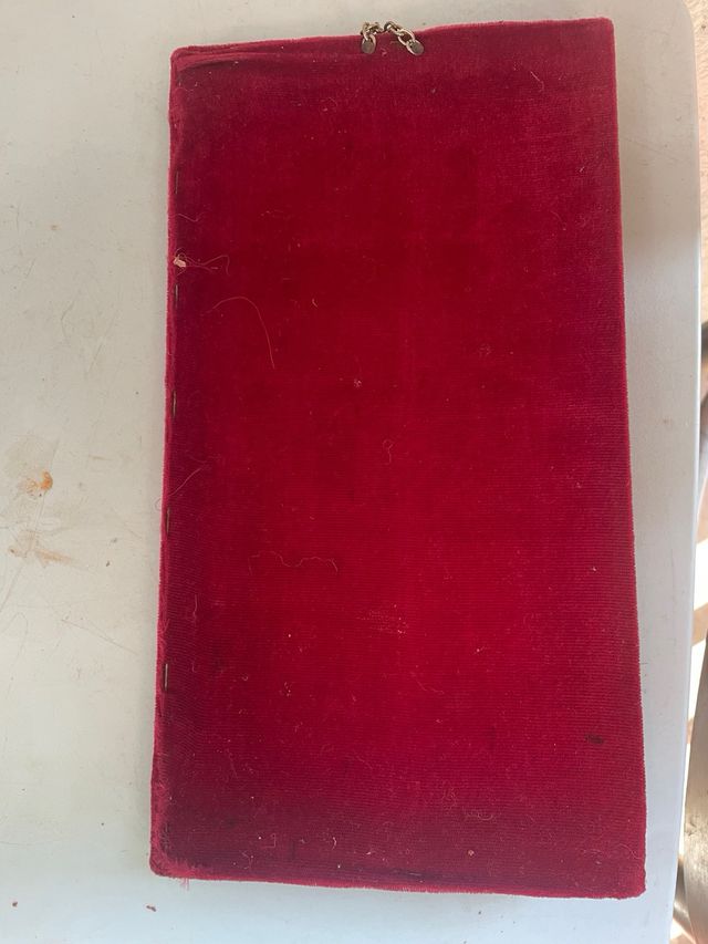 Cuadro ciervo dorado y árbol