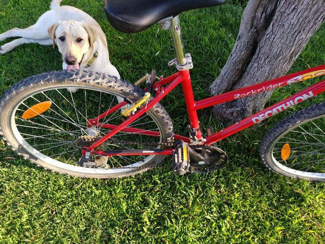 Bicicleta Rockrider 500 Decathlon