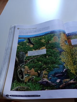 Geografía e Historia 1º ESO. Libro del estudian...