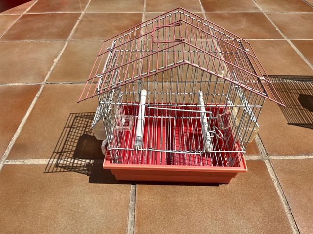 Jaula pájaros pequeña roja