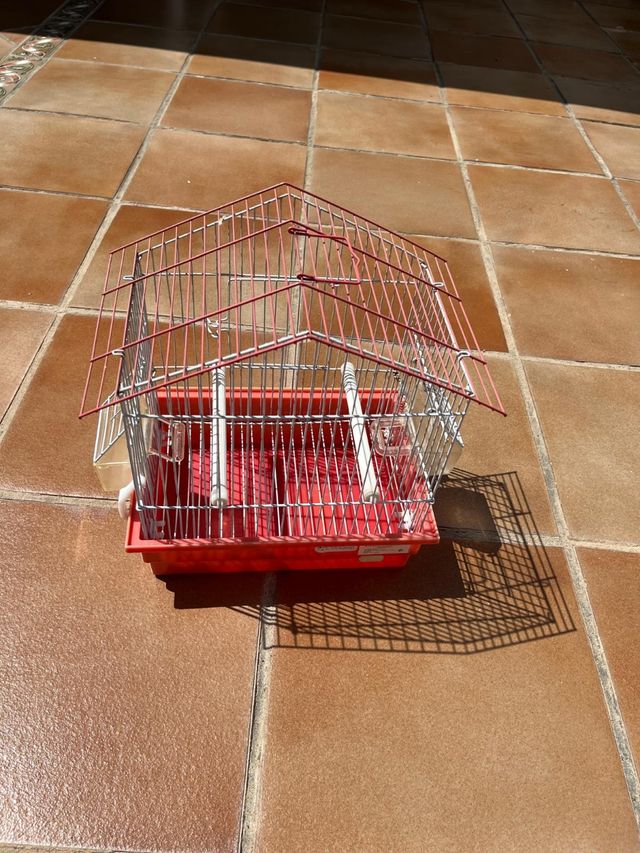 Jaula pájaros pequeña roja