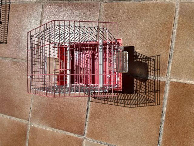 Jaula pájaros pequeña roja