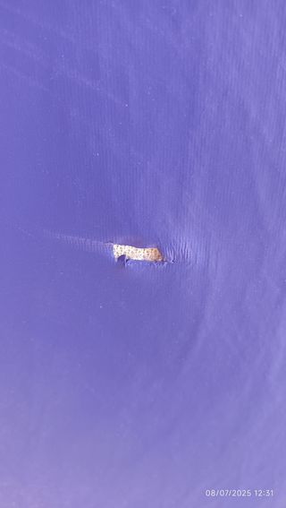 Colchón geriátrico azul