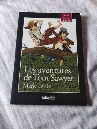 Les aventures de Tom Sawyer