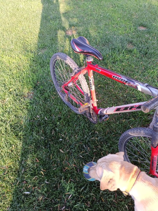 Bicicleta BH montaña