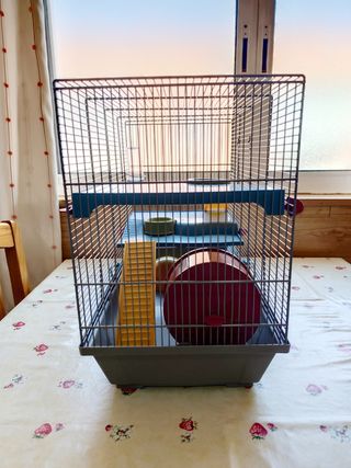 Casita Hamster o pequeño roedor 2 plantas