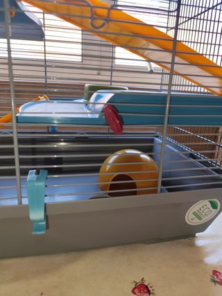 Casita Hamster o pequeño roedor 2 plantas