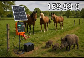 Pastor eléctrico 12v solar caballos jabali 10km