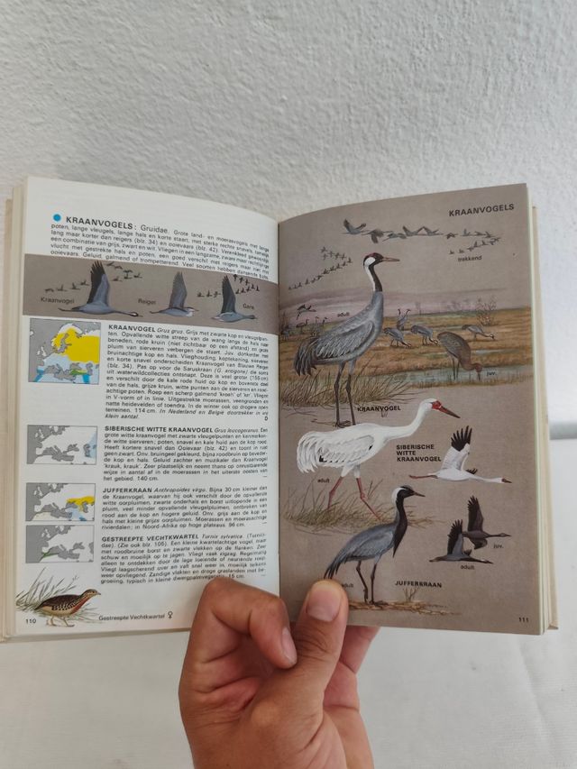 Elseviers Diersporengids