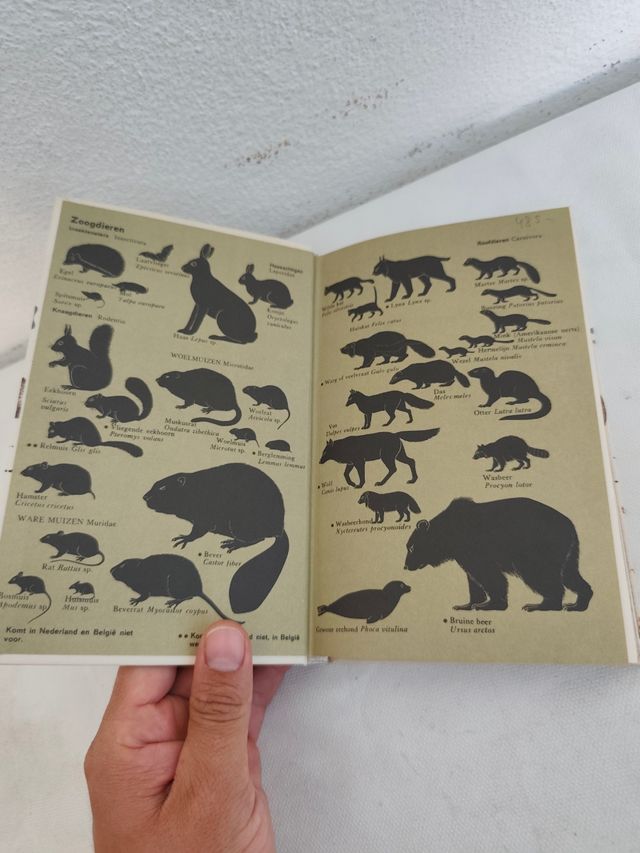 Elseviers Diersporengids