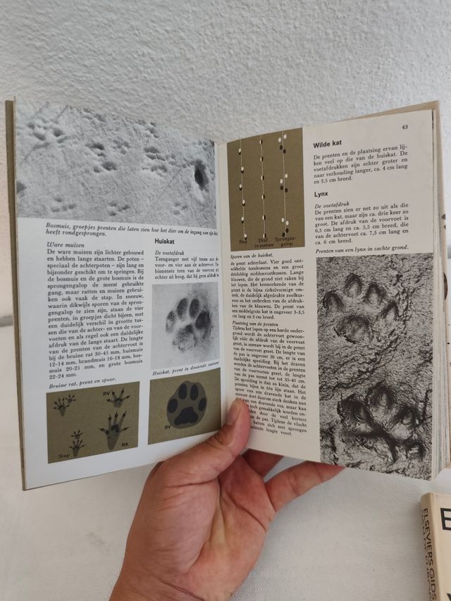 Elseviers Diersporengids