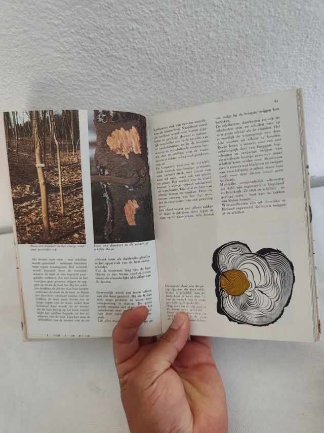 Elseviers Diersporengids