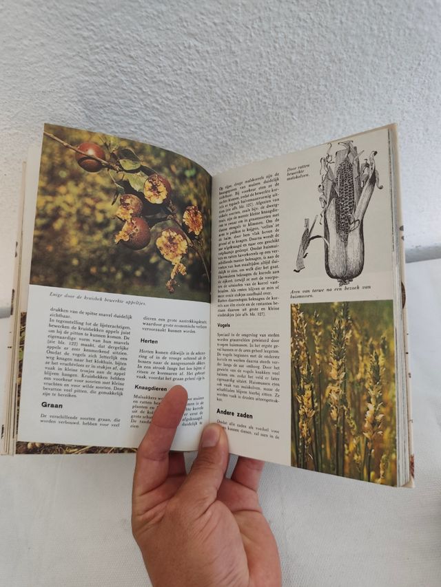 Elseviers Diersporengids