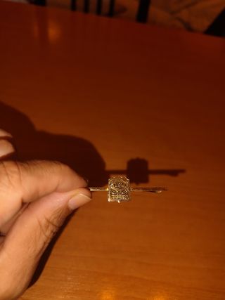 Alfiler de corbata dorado
Compañia seguridad SIPVA