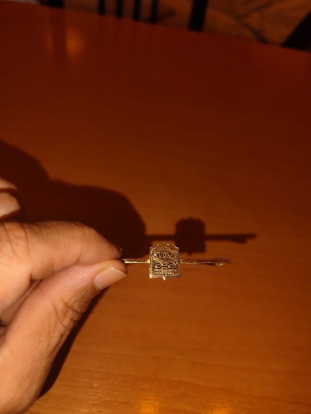 Alfiler de corbata dorado
Compañia seguridad SIPVA