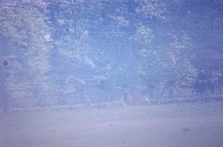 Retina mosquito bianca semitrasparente zanzariere